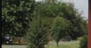 950 Dee Dee Street Bossier City, LA 71111 - Image 15413434