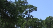 401 Sally Street Port Charlotte, FL 33954 - Image 15413420