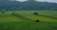 29142 Lee Highway Meadowview, VA 24361 - Image 15417222