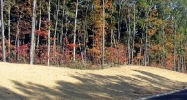 3700 Elizabeth Lee Parkway Loudon, TN 37774 - Image 15429334