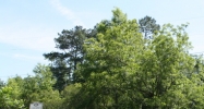 20097 Louisiana 36 Covington, LA 70435 - Image 15434176