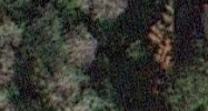46037 Rufus Bankston Rd Hammond, LA 70401 - Image 15435053