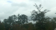 71344 Hwy 59 Abita Springs, LA 70420 - Image 15435289