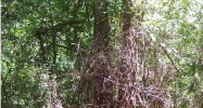 1 Brame Road Ridgeland, MS 39157 - Image 15442779