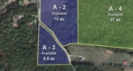 300B Irene Lane Loudon, TN 37774 - Image 15451094