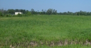 Pride Drive Hammond, LA 70401 - Image 15453150