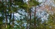 Hwy 25 Covington, LA 70434 - Image 15478889