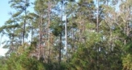 0 Dalwill Drive Mandeville, LA 70471 - Image 15479126