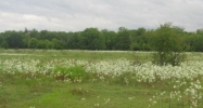 I20 & FM 429 Terrell, TX 75161 - Image 15487970