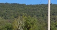110 Hillview Terrace Dr Harriman, TN 37748 - Image 15490989