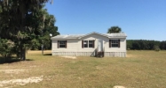 12825 SE 115th Ave Ocklawaha, FL 32179 - Image 15544243