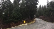 L1 B21 Alyeska View Avenue Girdwood, AK 99587 - Image 15574682