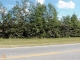 0 Coastal Hwy Fleming, GA 31309 - Image 15588175
