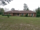 411 Nuckols Road Seale, AL 36875 - Image 15632105
