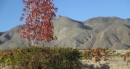 1241 Praise St San Jacinto, CA 92583 - Image 15637655