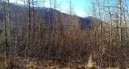 L1 B1 Magnaview Drive Eagle River, AK 99577 - Image 15642681