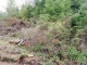 Lot 114 Monte Cristo Wy Granite Falls, WA 98252 - Image 15671015