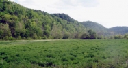 0 Jennings Creek Hwy Whitleyville, TN 38588 - Image 15673170