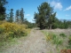 0 Jordan Road Cambria, CA 93428 - Image 15679817