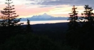 66677 Suzis Trail Lane Homer, AK 99603 - Image 15682168