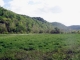 0 Jennings Creek Hwy Whitleyville, TN 38588 - Image 15698945