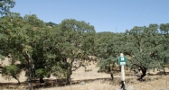 747 Bridle Ridge Court Fairfield, CA 94534 - Image 15699873