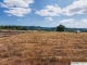 7251 NE Elmers Ct Silverton, OR 97381 - Image 15716589