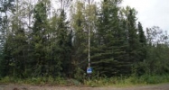 5791 W Barbi Circle Wasilla, AK 99654 - Image 15722632