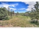 0 Fox Acres Drive East Red Feather Lakes, CO 80545 - Image 15771906