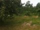 0008 Highway 61 South Natchez, MS 39120 - Image 15782706