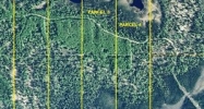 Pcl 4 Blue Goose Road Wasilla, AK 99654 - Image 15827593