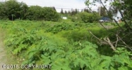 L1 B2 E Fairview Avenue Homer, AK 99603 - Image 15832442