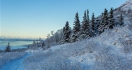 TR 3 Steamboat Drive Anchorage, AK 99516 - Image 15934860