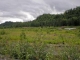 L97 Cache Creek Residential Nikolski, AK 99638 - Image 15995124