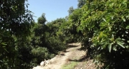 10 Donnil Lane Fallbrook, CA 92028 - Image 16077168