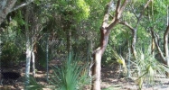 218 SW 188 AVE Miami, FL 33170 - Image 16080066