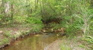 1255 Chester Road Dahlonega, GA 30533 - Image 16080579