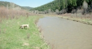 X CR 551 Easement & 2700 CR 551 Pagosa Springs, CO 81147 - Image 16081085