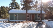 985 Blossom Rd Woodland Park, CO 80863 - Image 16081379
