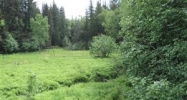 1459 E END Road Homer, AK 99603 - Image 16082052