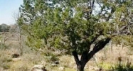 lot 3 DOGWOOD Horseshoe Bay, TX 78657 - Image 16082197