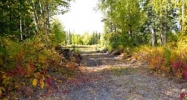 9793 W Trimotor Street Wasilla, AK 99654 - Image 16082246