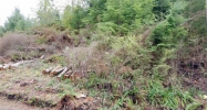 Lot 114 Monte Cristo Wy Granite Falls, WA 98252 - Image 16082527