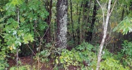 #4 SMOKY VIEW RD Gatlinburg, TN 37738 - Image 16084132