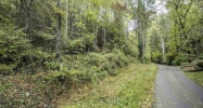 Lot 8 Black Gum Gap Rd Gatlinburg, TN 37738 - Image 16084135