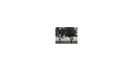 7000 Island Blvd # 608 North Miami Beach, FL 33160 - Image 16086658