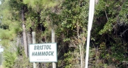 0 Bristol Hammock Cir, LOT 31 Kingsland, GA 31548 - Image 16106175