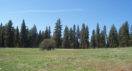 Lot 22 Timber Ridge Drive New Meadows, ID 83654 - Image 16123066