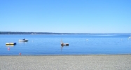 12604 Sunny Shores Rd Poughkeepsie, NY 12604 - Image 16127291