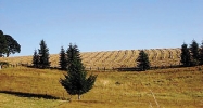 484 Rees Hill Rd Salem, OR 97306 - Image 16127863